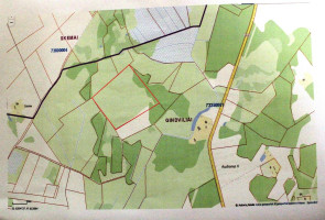 Parduodamas sklypas Šileikių k., Rokiškio r. sav., 819 a ploto 1