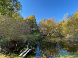 Parduodamas namas Šiaulių g., Beržėnų k., Kelmės r. sav., 55 m2 ploto, 1 aukštai 9