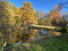 Parduodamas namas Šiaulių g., Beržėnų k., Kelmės r. sav., 55 m2 ploto, 1 aukštai 10