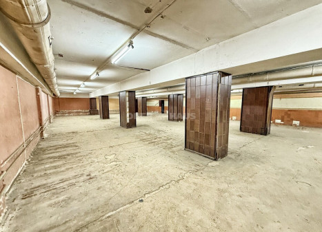 Nuomojamos gamybinės, kitos paskirties, sandėliavimo patalpos Raudondvario pl., Vilijampolė, Kauno m., Kauno m. sav., 500 m2 ploto