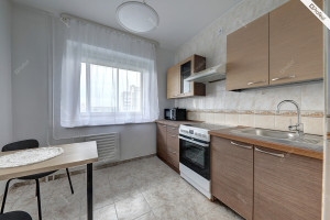 Nuomojamas butas Čiobiškio g., Šeškinė, Vilniaus m., Vilniaus m. sav., 50 m2 ploto, 2 kambariai 9