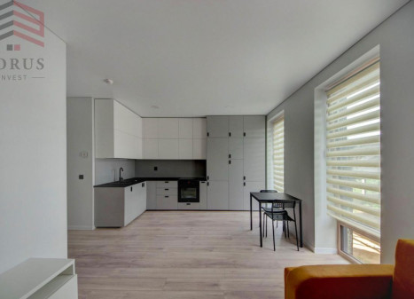 Nuomojamas butas Žirmūnai, Vilniaus m., Vilniaus m. sav., 29.06 m2 ploto, 1 kambariai