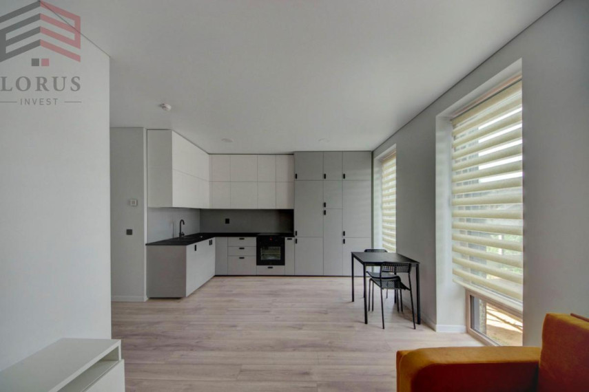 Nuomojamas butas Žirmūnai, Vilniaus m., Vilniaus m. sav., 29.06 m2 ploto, 1 kambariai 1