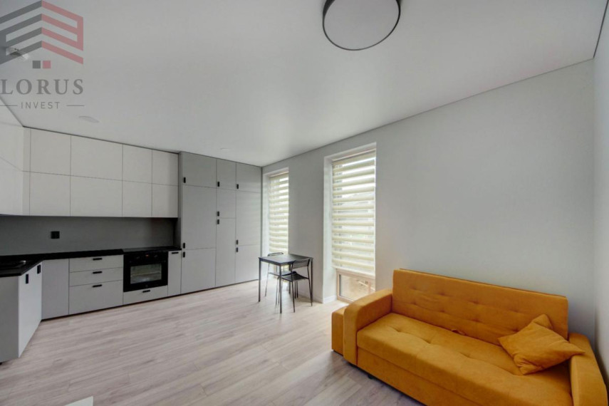 Nuomojamas butas Žirmūnai, Vilniaus m., Vilniaus m. sav., 29.06 m2 ploto, 1 kambariai 2