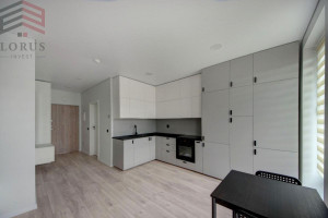 Nuomojamas butas Žirmūnai, Vilniaus m., Vilniaus m. sav., 29.06 m2 ploto, 1 kambariai 10