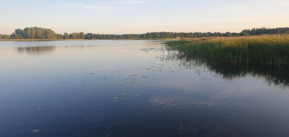 Parduodamas sklypas Klišių vs., Ukmergės r. sav., 1000 a ploto 11