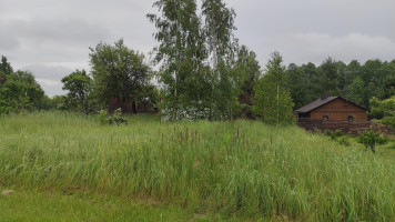 Parduodamas sklypas Vyšnių g., Mitkų k., Panevėžio r. sav., 6 a ploto 5