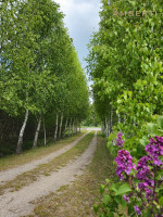 Parduodamas namas Pasienio g., Smilgynų k., Klaipėdos r. sav., 175 m² ploto 5 kambariai 15