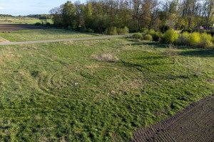 PARDUODAMAS 43,00 ARŲ SKLYPAS GĖLIŲ G. 10, ULIŪNŲ GYVENVIETĖJE 15