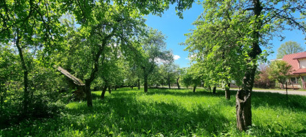 Parduodamas namas A. Smetonos g., Ukmergės m., Ukmergės r. sav., 52.31 m² ploto 3 kambariai 4