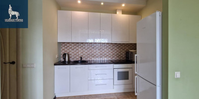 Nuomojamas butas Giedraičių g., Šnipiškės, Vilniaus m., Vilniaus m. sav., 47.5 m2 ploto, 2 kambariai 10