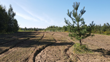 Parduodamas namų valdos paskirties sklypas Žydrių g., Lindiniškių k., Vilniaus r. sav., 13.7 a ploto 2