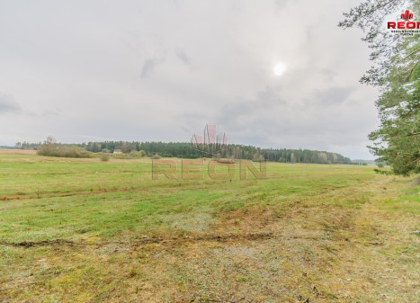Parduodamas  sklypas Paraistės g., Snaigupės k., Druskininkų sav., 63 a ploto