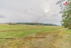Parduodamas  sklypas Paraistės g., Snaigupės k., Druskininkų sav., 63 a ploto 1