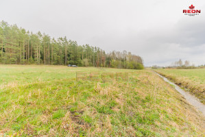 Parduodamas  sklypas Paraistės g., Snaigupės k., Druskininkų sav., 63 a ploto 3