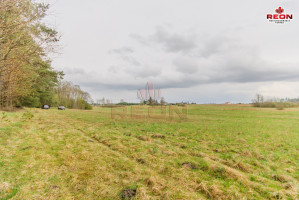 Parduodamas  sklypas Paraistės g., Snaigupės k., Druskininkų sav., 63 a ploto 4