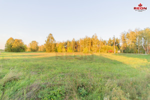 Parduodamas  sklypas Gailiūnų g., Gailiūnų k., Druskininkų sav., 41 a ploto 1