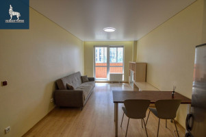 Nuomojamas butas Vėtrungių g., Fabijoniškės, Vilniaus m., Vilniaus m. sav., 52.36 m2 ploto, 2 kambariai 2
