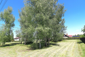 Parduodamas namų valdos paskirties sklypas Keramikų g. , Rožės, Panevėžio m., Panevėžio m. sav., 15 a ploto 6