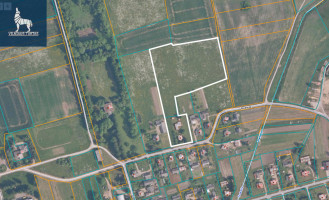Parduodamas namas Rožių g., Antašavos mstl., Kupiškio r. sav., 96.19 m2 ploto, 2 aukštai 31