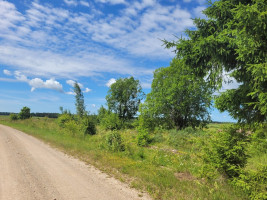 Parduodamas  sklypas Asteikių k., Kretingos r. sav., 55 a ploto 4