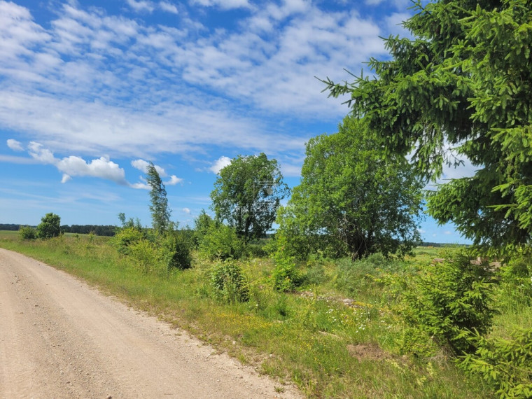 Parduodamas sklypas Asteikių k., Kretingos r. sav., 55 a ploto 4