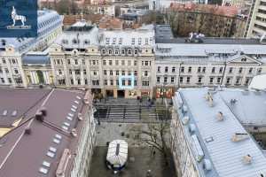 Nuomojamas butas Gedimino pr., Senamiestis, Vilniaus m., Vilniaus m. sav., 35 m2 ploto, 1 kambariai 12