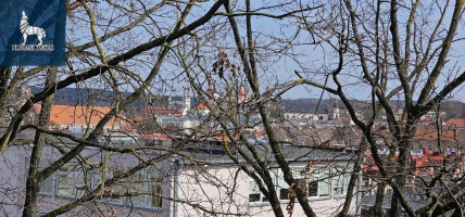 Nuomojamas butas Aguonų g., Senamiestis, Vilniaus m., Vilniaus m. sav., 40 m2 ploto, 1 kambariai 13