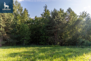 Parduodamas  sklypas Šalpusnių g., Tarandė, Vilniaus m., Vilniaus m. sav., 25.65 a ploto 16