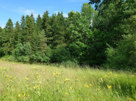 Parduodamas sklypas Pamiškės g., Meškių k., Šiaulių r. sav., 36.75 a ploto 12