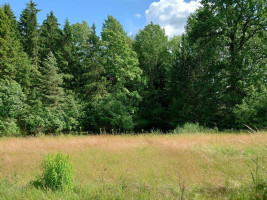 Parduodamas sklypas Pamiškės g., Meškių k., Šiaulių r. sav., 36.75 a ploto 13