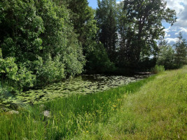 Parduodamas sklypas Pamiškės g., Meškių k., Šiaulių r. sav., 36.75 a ploto 7