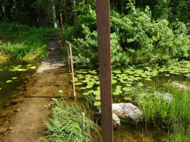 Parduodamas sklypas Pamiškės g., Meškių k., Šiaulių r. sav., 36.75 a ploto 8
