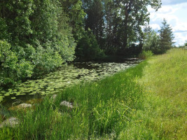 Parduodamas sklypas Pamiškės g., Meškių k., Šiaulių r. sav., 36.75 a ploto 9