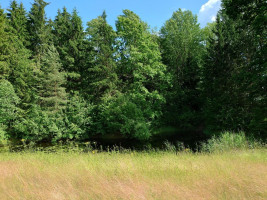 Parduodamas sklypas Pamiškės g., Meškių k., Šiaulių r. sav., 36.75 a ploto 10