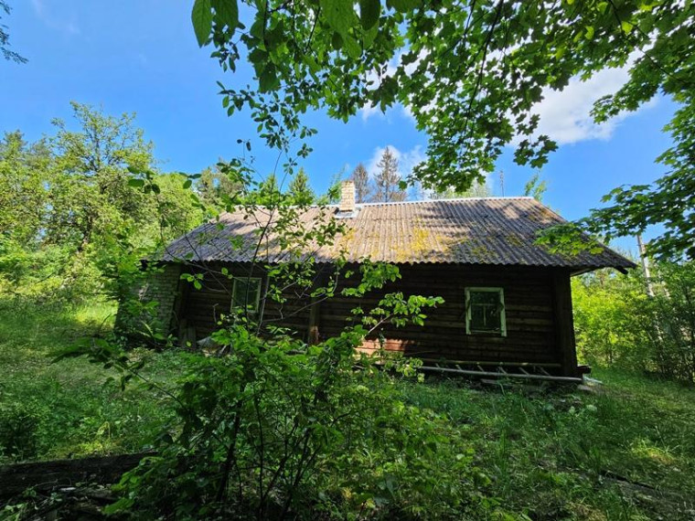 Parduodamas namas Pamoliškės k., Ignalinos r. sav., 50.29 m² ploto 3 kambariai 4