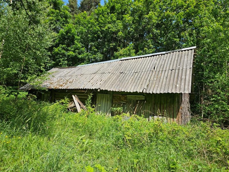 Parduodamas namas Pamoliškės k., Ignalinos r. sav., 50.29 m² ploto 3 kambariai 7