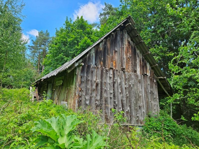 Parduodamas namas Pamoliškės k., Ignalinos r. sav., 50.29 m² ploto 3 kambariai 8