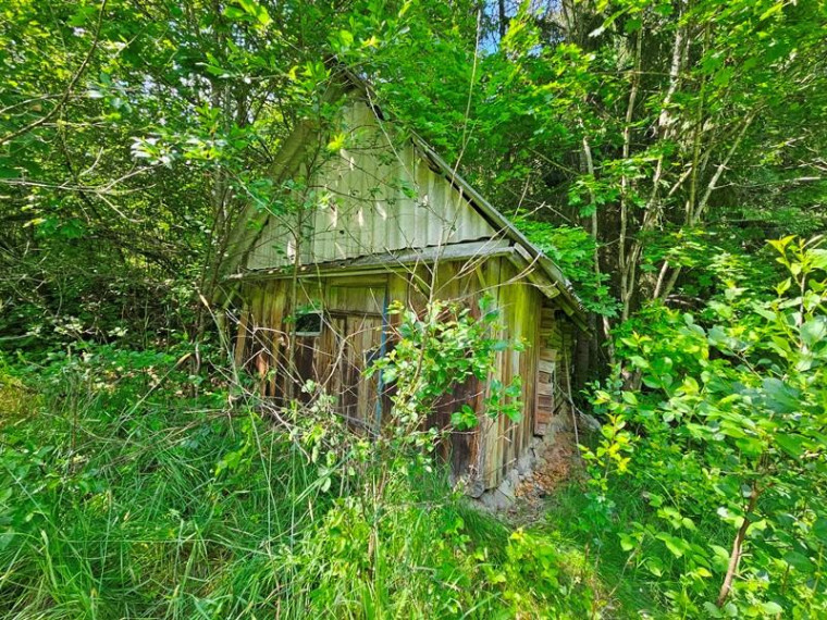Parduodamas namas Pamoliškės k., Ignalinos r. sav., 50.29 m² ploto 3 kambariai 9
