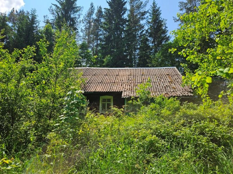 Parduodamas namas Pamoliškės k., Ignalinos r. sav., 50.29 m² ploto 3 kambariai 12