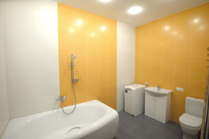 Parduodamas namas Girelės g., Sakiškių k., Vilniaus r. sav., 271.91 m2 ploto, 1 aukštai 17