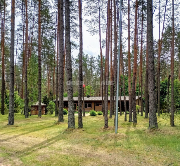Parduodamas namas Kauknorio g., Kauknorio k., Lazdijų r. sav., 189.81 m2 ploto, 1 aukštai 30