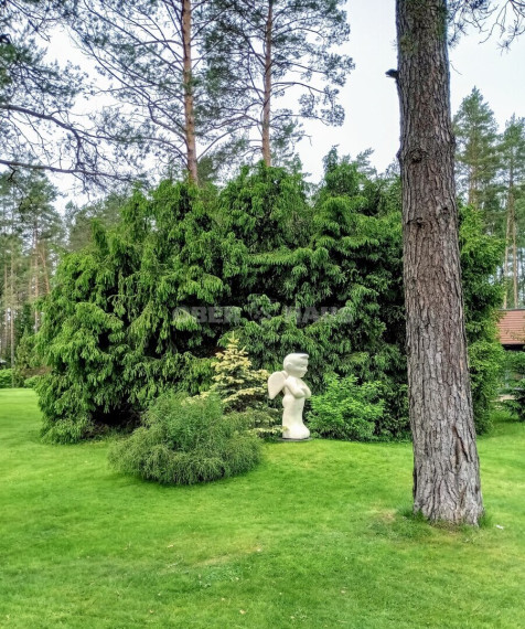 Parduodamas namas Kauknorio g., Kauknorio k., Lazdijų r. sav., 189.81 m2 ploto, 1 aukštai 31