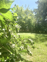 Parduodamas butas Vilniaus m., Vilniaus m. sav., 53.30 m² ploto 2 kambariai 14