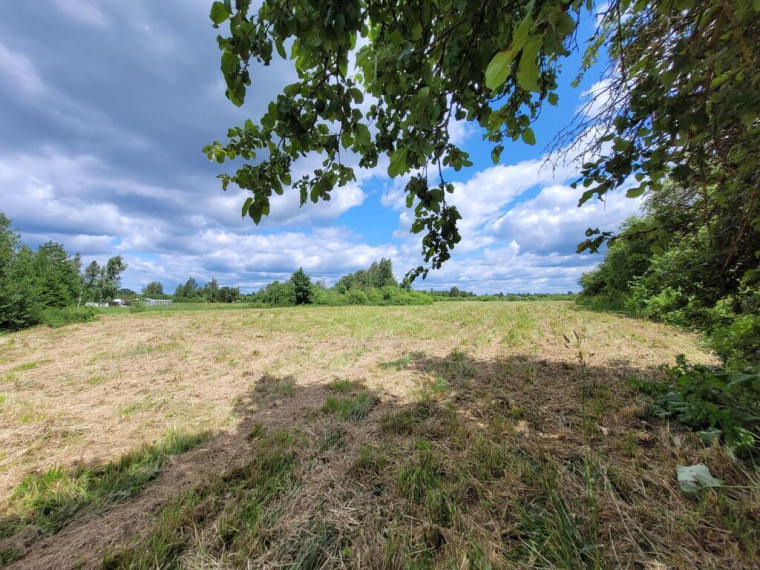 Paduodamas namų valdos 35.59 arų sklypas Kapitulščiznos k., Vilniaus rajone 9
