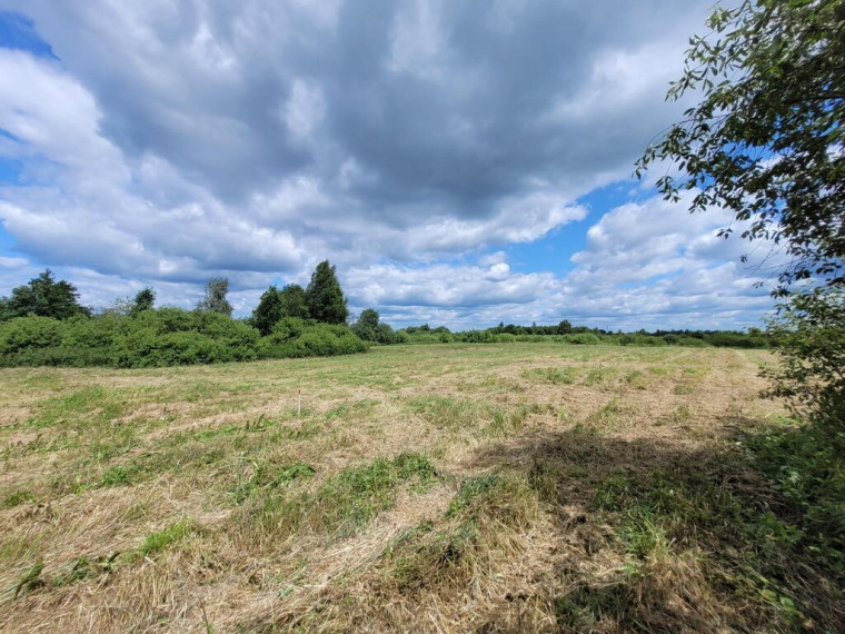 Paduodamas namų valdos 35.59 arų sklypas Kapitulščiznos k., Vilniaus rajone 8