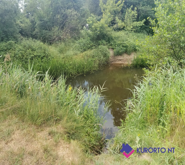 Parduodamas  sklypas Kalgraužių k., Kretingos r. sav., 80 a ploto 2