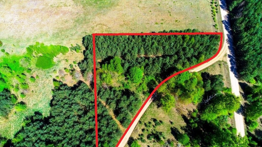 Parduodamas kitos paskirties sklypas Azagio g., Vilkanastrų k., Druskininkų sav., 45.02 a ploto 2