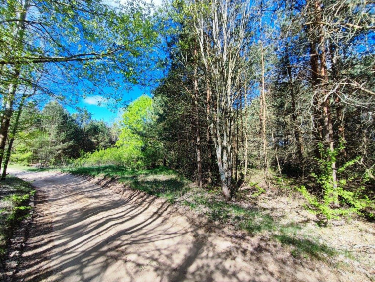 Parduodamas kitos paskirties sklypas Azagio g., Vilkanastrų k., Druskininkų sav., 45.02 a ploto 7