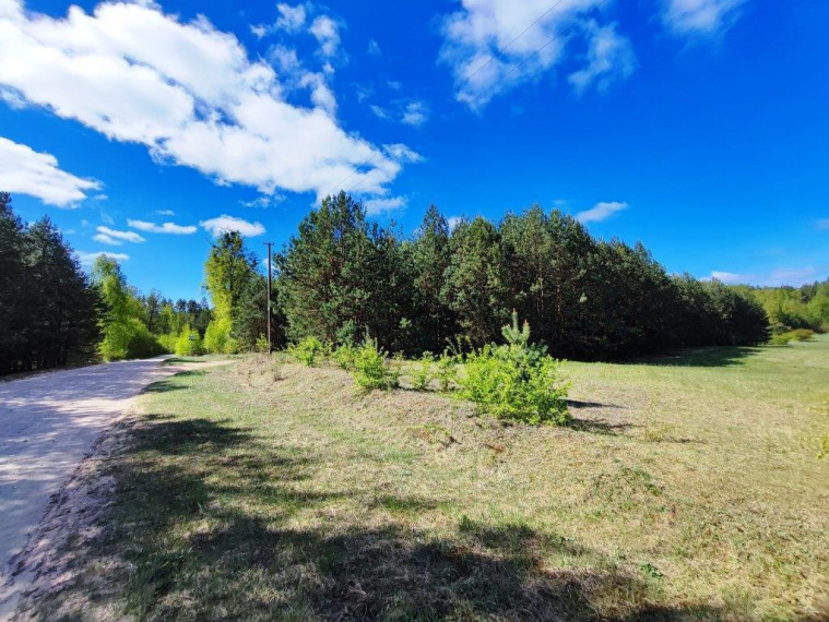 Parduodamas kitos paskirties sklypas Azagio g., Vilkanastrų k., Druskininkų sav., 45.02 a ploto 8